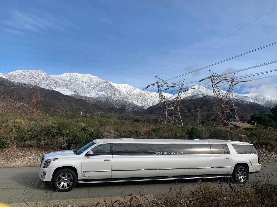 Lavish Life limousine service