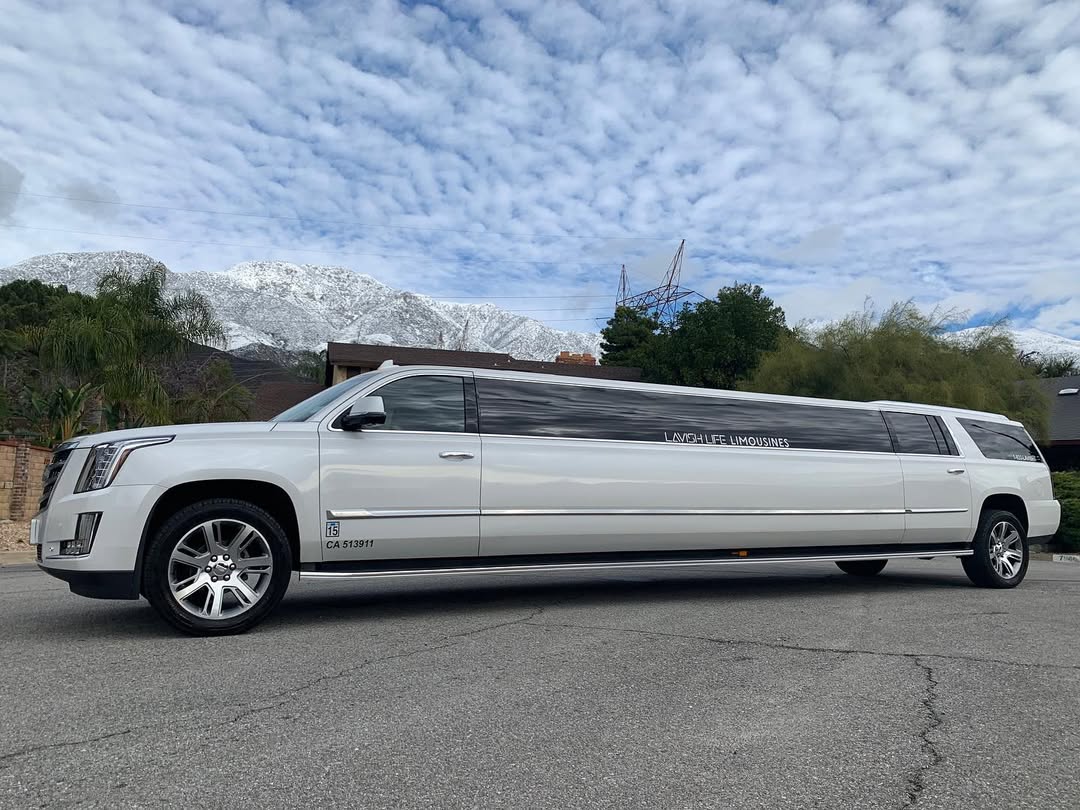 Lavish Life limousine service